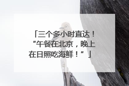 三个多小时直达！“午餐在北京，晚上在日照吃海鲜！”