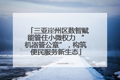 三亚崖州区数智赋能管住小微权力 “机器管公章”，构筑便民服务新生态