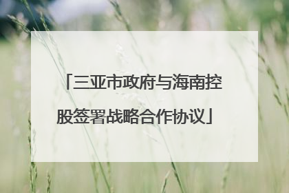 三亚市政府与海南控股签署战略合作协议