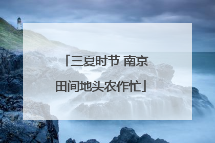 三夏时节 南京田间地头农作忙