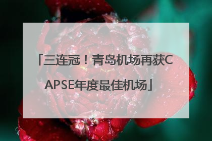 三连冠！青岛机场再获CAPSE年度最佳机场
