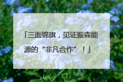 三面锦旗，见证振森能源的“非凡合作”！