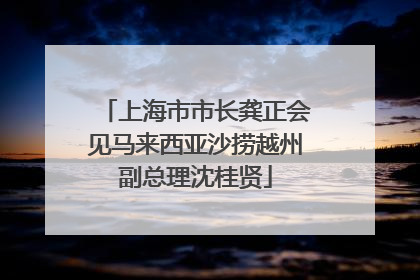 上海市市长龚正会见马来西亚沙捞越州副总理沈桂贤