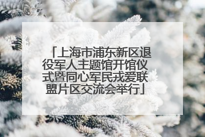 上海市浦东新区退役军人主题馆开馆仪式暨同心军民戎爱联盟片区交流会举行