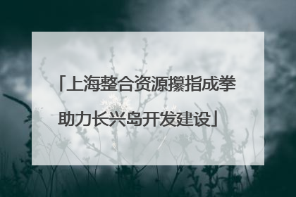 上海整合资源攥指成拳助力长兴岛开发建设