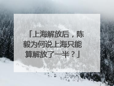 上海解放后，陈毅为何说上海只能算解放了一半？