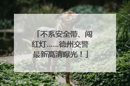 不系安全带、闯红灯……德州交警最新高清曝光！