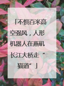 不惧百米高空强风，人形机器人在燕矶长江大桥走“猫道”