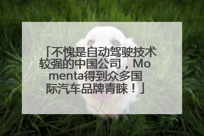 不愧是自动驾驶技术较强的中国公司，Momenta得到众多国际汽车品牌青睐！