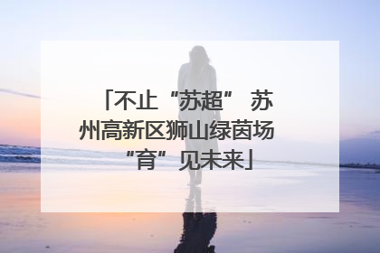 不止“苏超” 苏州高新区狮山绿茵场“育”见未来