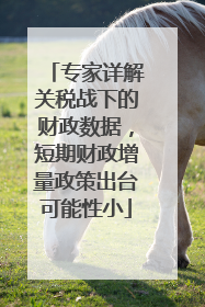 专家详解关税战下的财政数据，短期财政增量政策出台可能性小