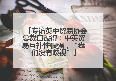 专访英中贸易协会总裁白彼得：中英贸易互补性很强，“我们没有歧视”
