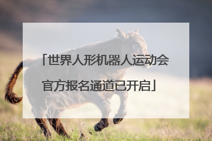 世界人形机器人运动会官方报名通道已开启