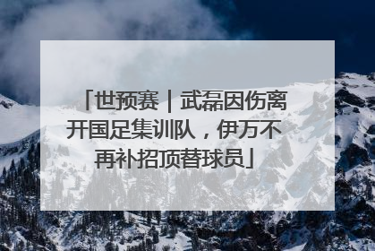 世预赛｜武磊因伤离开国足集训队，伊万不再补招顶替球员