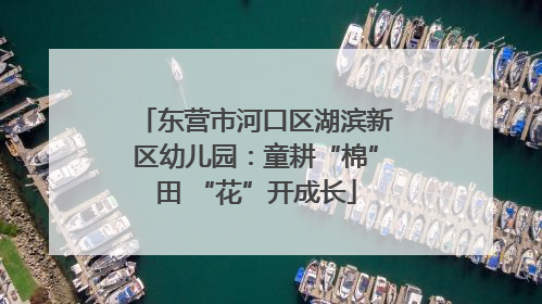 东营市河口区湖滨新区幼儿园：童耕“棉”田 “花”开成长