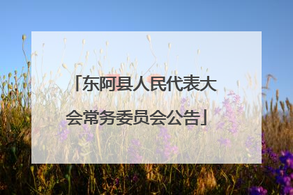 东阿县人民代表大会常务委员会公告