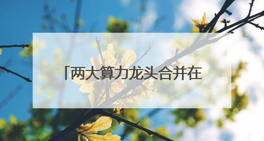 两大算力龙头合并在即！500余只基金重仓押注，持股总市值合计超380亿元