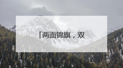 两面锦旗，双倍认可德州工程职业学院志愿者的守护与担当