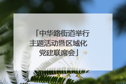 中华路街道举行主题活动暨区域化党建联席会