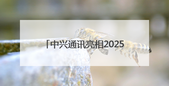 中兴通讯亮相2025全球人工智能终端展，展示AI全场景生态布局