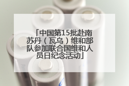 中国第15批赴南苏丹（瓦乌）维和部队参加联合国维和人员日纪念活动