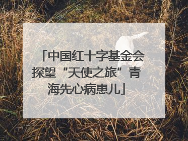 中国红十字基金会探望“天使之旅”青海先心病患儿