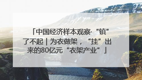 中国经济样本观察·“镇”了不起｜为衣做架，“挂”出来的80亿元“衣架产业”