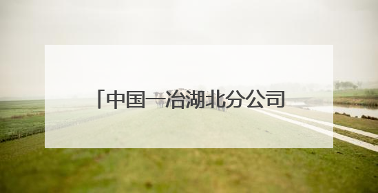 中国一冶湖北分公司信阳步行街项目开展全国安全咨询日活动
