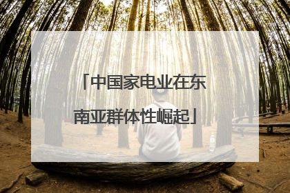 中国家电业在东南亚群体性崛起