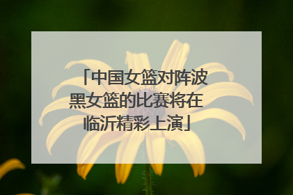 中国女篮对阵波黑女篮的比赛将在临沂精彩上演