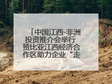 中国江西-非洲投资推介会举行 赞比亚江西经济合作区助力企业“走出去”