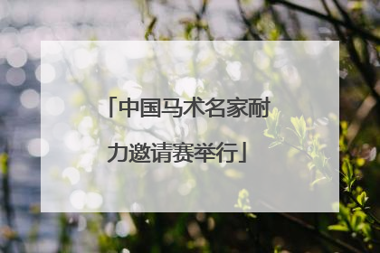 中国马术名家耐力邀请赛举行
