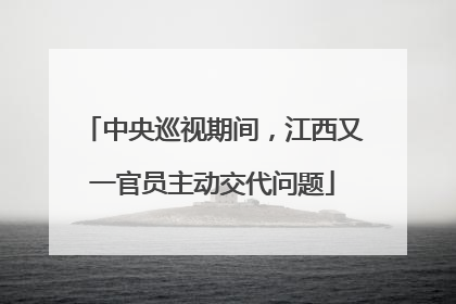 中央巡视期间，江西又一官员主动交代问题