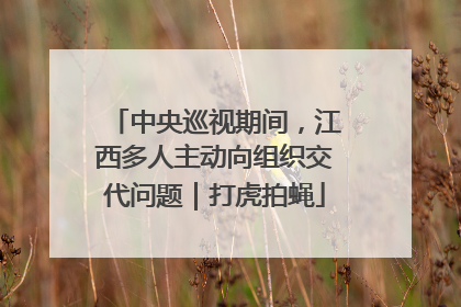 中央巡视期间，江西多人主动向组织交代问题｜打虎拍蝇