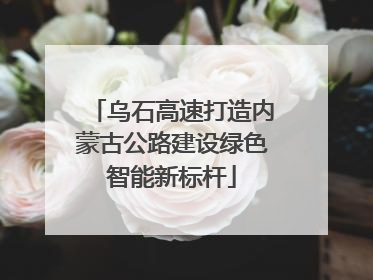 乌石高速打造内蒙古公路建设绿色智能新标杆