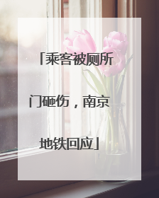 乘客被厕所门砸伤，南京地铁回应