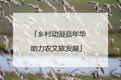 乡村动漫嘉年华助力农文旅发展