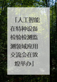 人工智能在特种设备检验检测监测领域应用交流会在敦煌举办