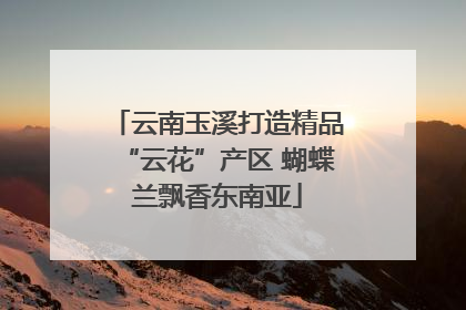 云南玉溪打造精品“云花”产区 蝴蝶兰飘香东南亚