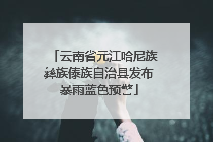 云南省元江哈尼族彝族傣族自治县发布暴雨蓝色预警
