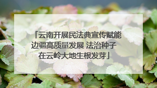 云南开展民法典宣传赋能边疆高质量发展 法治种子在云岭大地生根发芽