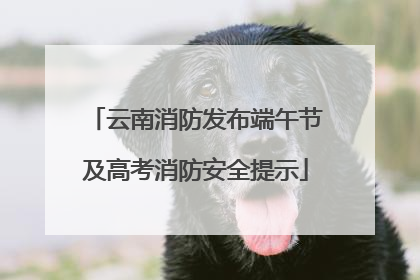 云南消防发布端午节及高考消防安全提示
