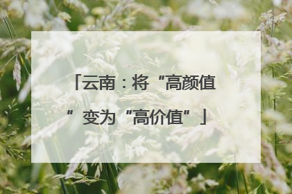 云南：将“高颜值”变为“高价值”