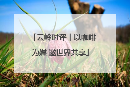 云岭时评丨以咖啡为媒 邀世界共享