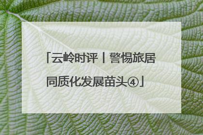 云岭时评丨警惕旅居同质化发展苗头④