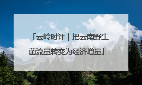 云岭时评｜把云南野生菌流量转变为经济增量