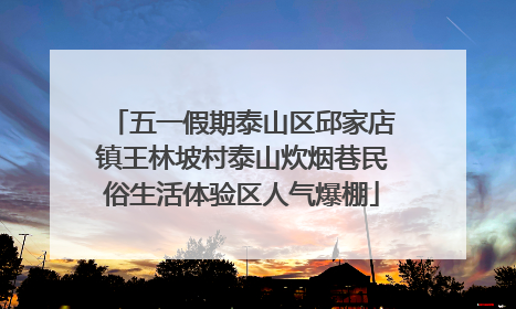 五一假期泰山区邱家店镇王林坡村泰山炊烟巷民俗生活体验区人气爆棚