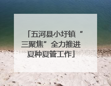 五河县小圩镇“三聚焦”全力推进夏种夏管工作