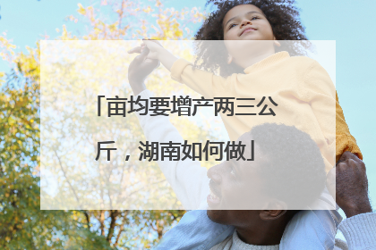 亩均要增产两三公斤，湖南如何做
