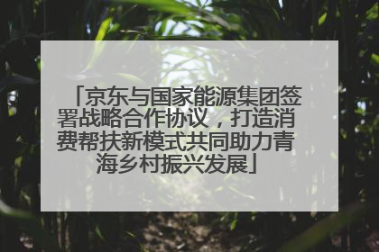 京东与国家能源集团签署战略合作协议，打造消费帮扶新模式共同助力青海乡村振兴发展